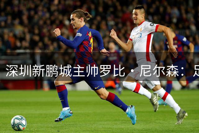 深圳新鹏城主帅罗比·尼尔森：足协杯是球队状态回升的关键战役